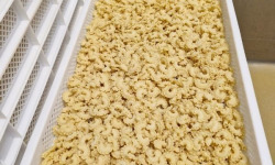 Lioravi, l'authentique pâte fraîche ! - [Précommande] Pâtes Fraîches - Creste Bio - 1kg