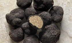 Plantin - L'art de la truffe depuis 1930 - Truffes d'été fraîches entières