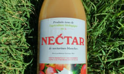 Massot Delphine et Garrigue Marc - Nectar BIO de nectarines blanches / Lot de 6 bouteilles d'1L