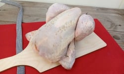 Coeur de Grange - LOT 5 Poulets Noir Label 1,8kg