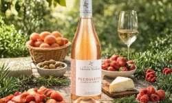 Domaine Lucien Tramier - Côtes du Rhône 2024 "Pecoulette" Rosé BIO