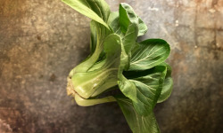 La Ferme d'Artaud - Pak choi - pièce