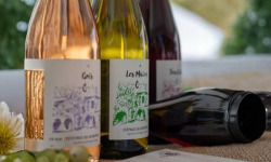 Cave Creuzet - Les Caves aux Caux - Sélection Découverte des Coteaux du Vendômois - Lot de 3