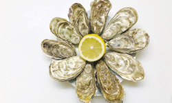 Mer Sea - Huître De Normandie N°3 / 2 Kg