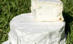 La Vache Charentaise - Lot de 4 Le Petit Réortais 4x250g