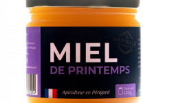 Merveille Apiculture - Miel de printemps crémeux x 6