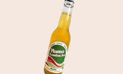 Mama Kombucha - Mama Kombucha – Menthe  – Boisson fermentée artisanale bio (carton 6x33cl)
