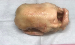 Des Poules et des Vignes à Bourgueil - Canard gras éviscéré