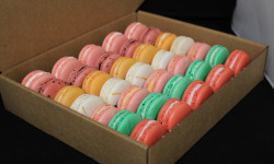 Les Macarondises - 35  Macarons Fraîcheurs