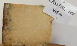 L'Auvergnat - Fromage Cantal AOP vieux 500g