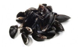 Ma poissonnière - Moules De Bouchot - Lot De 4 Kg