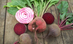 HERBA HUMANA - Betteraves crue en mélange