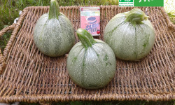 Les Jardins de Karine - Courgette 'Ronde de Nice' - 1kg