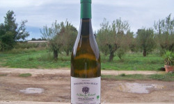 Domaine Pons Gralet - Vin Blanc - AOP Cotes du Roussillon 2024 Bio x6