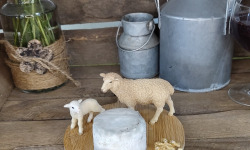 Boutique Boisette - Pur brebis affiné 80g