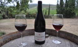 Mas De La Devèze - Côte du Roussillon AOP - Malice Rouge 2022