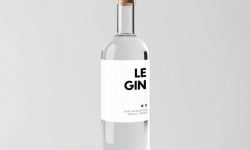 Belle Gnôle par Côquetelers - Le Gin Les Essentiels -70cl x 6