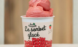 Bon Dimanche - Sorbet Fraise Plein Fruit Bio 2,5L