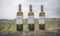 Château Jouvente - Vin de Graves blanc - Verticale de Château Jouvente