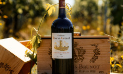 Vignobles Brunot - Lussac Saint-Emilion Rouge - Château Tour de Grenet 2019 - Magnum de 150cl