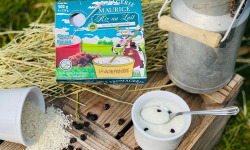 Fromagerie Maurice - 6 Packs de 4 Riz au lait au Rhum et Raisins