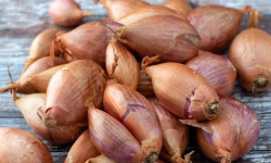 La Ferme de Goas Per - Échalote bio - 1kg