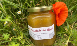 Des Poules et des Vignes à Bourgueil - Marmelade de Citron