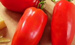Les Champs Paradis - tomate cornue des Andes véritable 1 kg