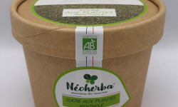 Néoherba - Sucre aux plantes - Mentholé