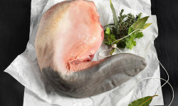 Bisons d'Auvergne - [SURGELE] Langue de bison