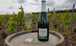 Champagne Deneufchatel - Champagne Deneufchatel Brut Tradition 1 X 75 Cl