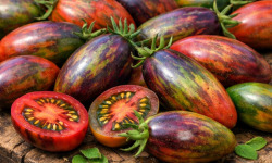 Nature et Saveurs - Ferme Aquaponique et Permacole Astérienne - Tomate Brad's Atomic - 250g