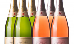 Champagne J. Martin et Fille - Lot de 3 Bouteilles Brut Tradition et 3 Bouteilles Brut Rosé