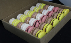 Les Macarondises - 35 Macarons Chocolatés