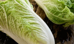 ChâteauFer - Chou chinois 1kg