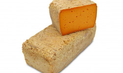 BEILLEVAIRE - Pavé de Paris Roubaix