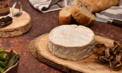 Fromage Gourmet - Camembert Pistaches, Noisettes et Miel