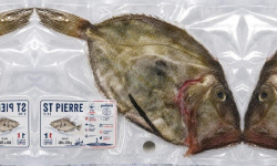 Mon Petit Poisson - Saint-Pierre vidé français – 500 à 700 g