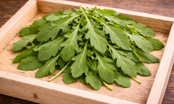 Nature et Saveurs - Ferme Aquaponique et Permacole Astérienne - Jeunes feuilles de roquette cultivée — fraîcheur et caractère