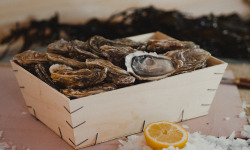Thalassa Tradition - Huîtres Fines de Mer N°3 Blainville - 48 pièces