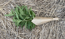 La Boite à Herbes - Verveine Bio - 100g