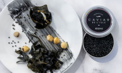 Caviar de l'Isle - Caviar Baeri réserve Français 50g - Caviar de l'Isle