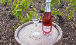 Champagne Deneufchatel - Champagne Deneufchatel Brut Rosé 1 X 75 Cl