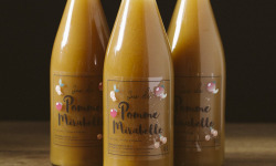 La Ferme des Prun'Elles - Jus Pomme Mirabelle x12