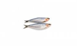 Ma poissonnière - Sardine Atlantique Entiere lot de 2kg