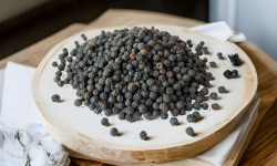 Esprit Zen - Poivre noir de Kampot IGP - Sachet 50g