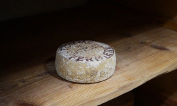 Alléosse Maitre Artisan Affineur Fromager - Tomme de Savoie fermière IGP