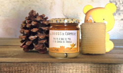 Les Butineuses de Champigny - Miel de printemps et gousse de vanille BIO - 250g