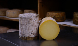 Alléosse Maitre Artisan Affineur Fromager - Cheddar Toilé AOP Fermier Entier