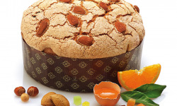 PASTA PIEMONTE - Panettone Piemontais Traditionnel 500 gr